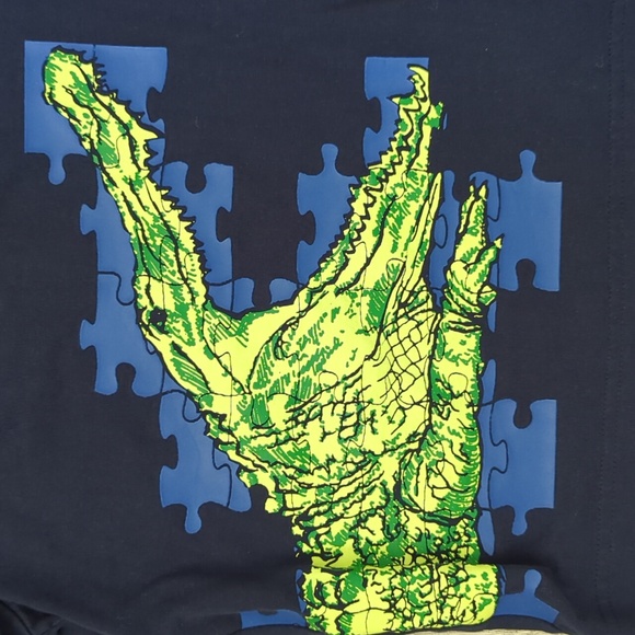 Gymboree Boys Crocodile Tee - Picture 2 of 4